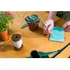 Post-it Notes, 4 in x 6 in, 5 Lined Sticky Note Pads, 100 Sheets per Pad, Beachside Café Collection, School Supplies and Office Products(6.1″ x 4.9″ (Pack of 12))